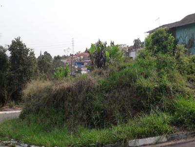 Terreno para Venda, em Itapecerica da Serra, bairro JARDIM EMBU MIRIM